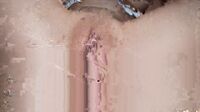 Hunny Bunny Onlpng Threesome